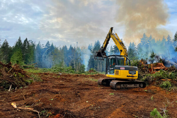Land-clearing-image4