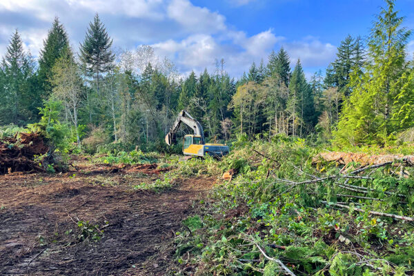 Land-clearing-image8